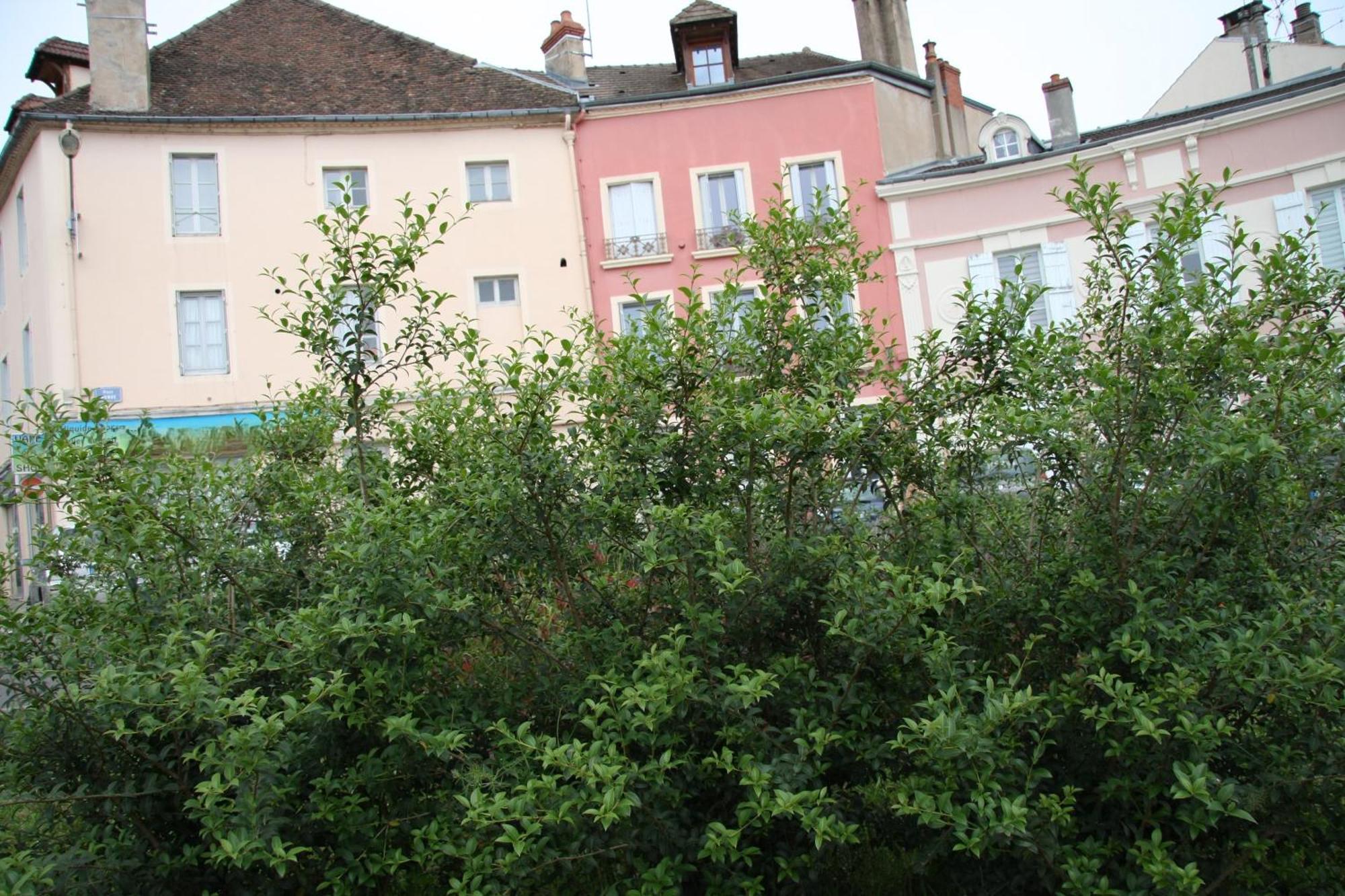 Appartement Haut De Gamme Centre Ville Chalon-sur-Saône Εξωτερικό φωτογραφία